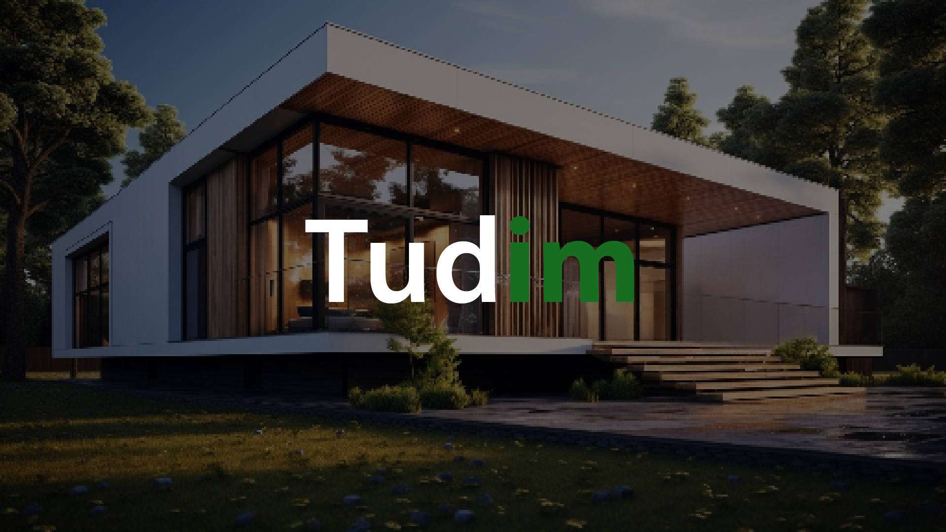 Tudim